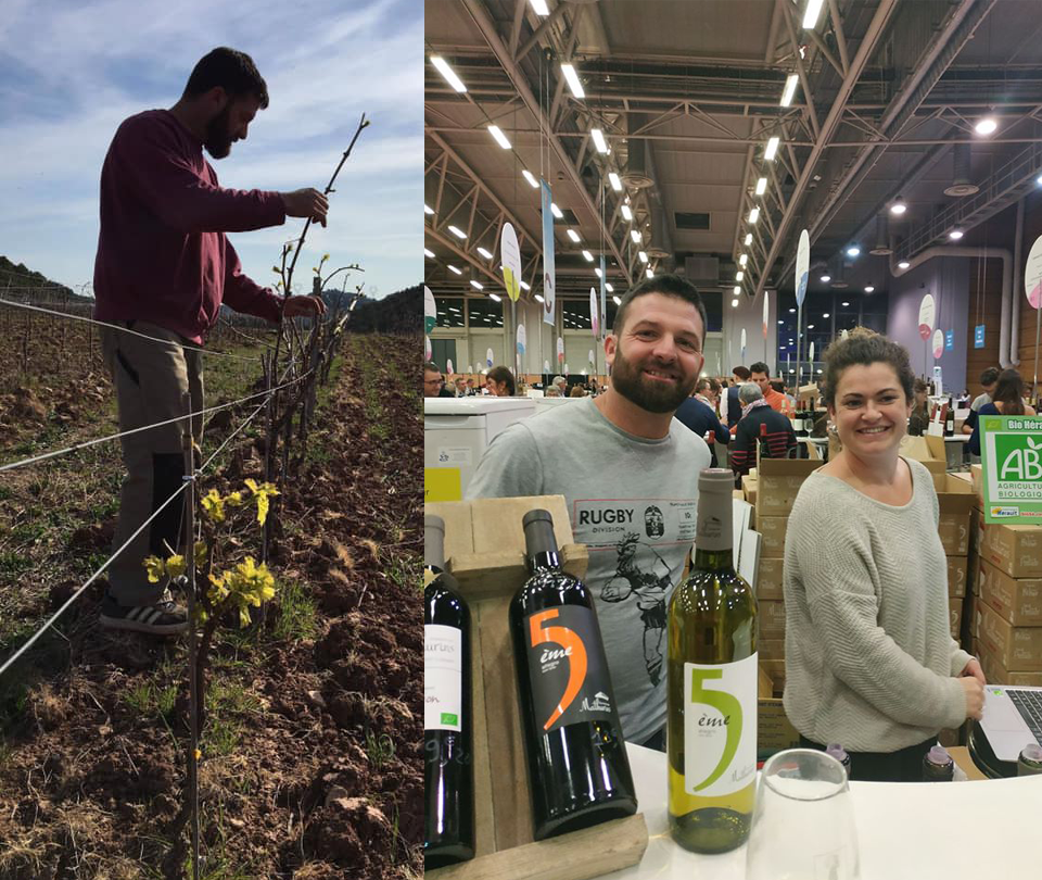 Salon des vins